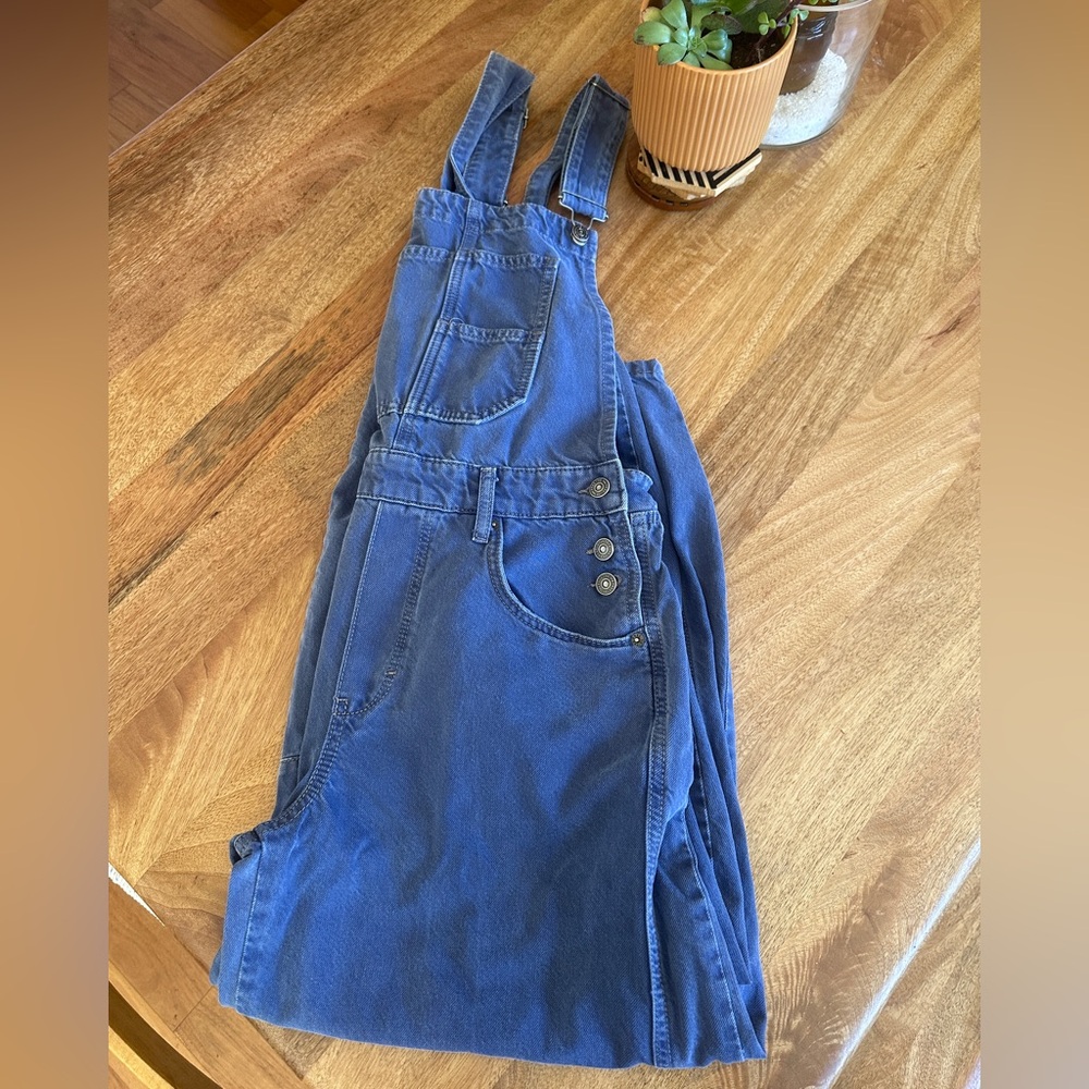 Free People We The Free Good Luck Barrel Overalls - Picture 5 of 8